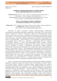 Влияние аминогликозидных антибиотиков на патологию митоза в Allium-тесте