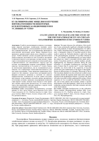 Культивирование мицелия и изучение фитопатогенности некоторых ксилотрофных базидиомицетов в условиях in vitro