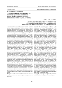 Адаптационные возможности интродуцентов различного происхождения в условиях Ботанического сада г. Сургута