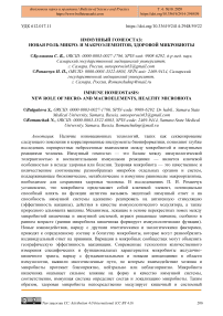 Иммунный гомеостаз: новая роль микро- и макроэлементов, здоровой микробиоты