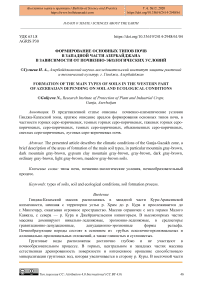 Формирование основных типов почв в западной части Азербайджана в зависимости от почвенно-экологических условий