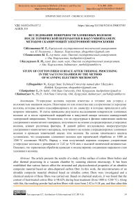 Исследование поверхности хлопковых волокон после термической переработки в вакуумной камере методом сканирующей электронной микроскопии