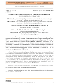 Оптимальные плотности посева сортов яровой пшеницы в условиях Каракалпакстана