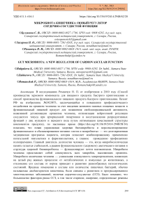 Микробиота кишечника: новый регулятор сердечно-сосудистой функции