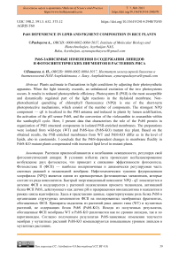 PsbS Dependence in Lipid and Pigment Composition in Rice Plants