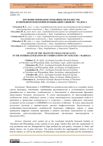 Изучение признаков урожайности и качества в гибридном поколении комбинаций Тавквери × Мадраса