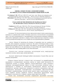 Оценка свежести мяса млекопитающих по микроструктурным изменениям мышечной ткани