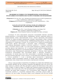 Лиановые растения естественной флоры Азербайджана, их ботанико-географическое распространение и использование