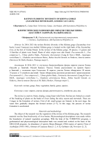 Ravines floristic diversity of Khinna gorge (Zayamchay river basin, Lesser Caucasus)