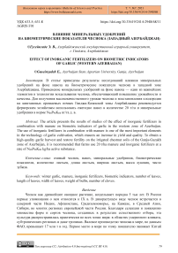 Влияние минеральных удобрений на биометрические показатели чеснока (западный Азербайджан)