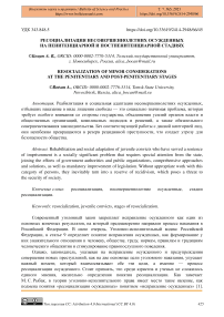 Ресоциализация несовершеннолетних осужденных на пенитенциарной и постпенитенциарной стадиях