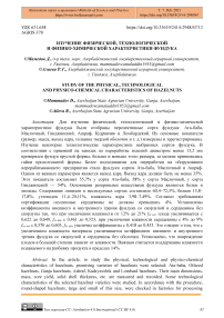 Изучение физической, технологической и физико-химической характеристики фундука