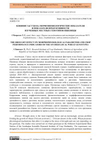 Влияние засухи на морфофизиологические показатели и показатели продуктивности изученных местных генотипов пшеницы