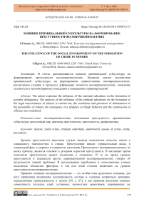 Влияние криминальной субкультуры на формирование преступности несовершеннолетних