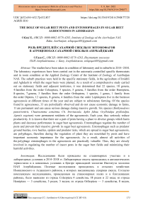 The role of sugar beet pests and entomophages in sugar beet agrocenoses in Azerbaijan