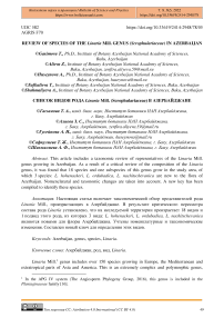 Review of species of the Linaria mill. genus (Scrophulariaceae) in Azerbaijan