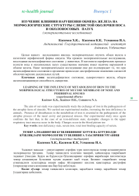 Изучение влияния нарушения обмена железа на морфологические структуры слизистой оболочки носа и околоносовых пазух