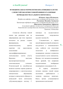 Функциональная морфология бокаловидных клеток слизистой оболочки тонкой кишки в различные периоды постнатального онтогенеза