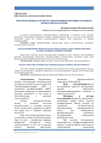 Пространственная структура электроэнцефалограммы человека в норме и при патологии