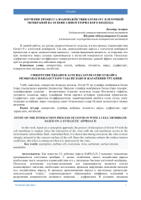 Изучение процесса взаимодействия СOVID-19 с клеточной мембраной на основе синергетического подхода