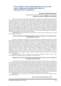 Морфологические изменения в динамике после ампутации ног в листовом отделе червя мозжечка у собак