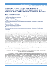 Изучение репаративного остеогенеза переломов бедренной кости кроликов при терапии обогащенной тромбоцитами плазмой
