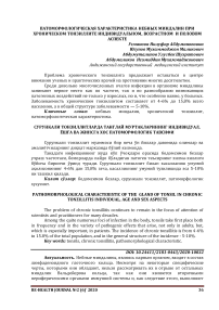 Патоморфологическая характеристика небных миндалин при хроническом тонзиллите индивидуальном, возрастном и половом аспекте