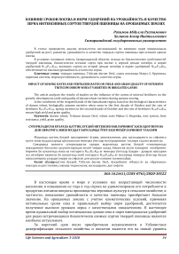 Влияние сроков посева и норм удобрений на урожайность и качество зерна интенсивных сортов твердой пшеницы на орошаемых землях