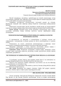 Такрорий экин сифатида кўчатдан аччиқ қалампир етиштириш технологияси