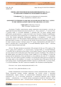 Оценка перспектив использования видов рода Pyrus L. в северо-восточной части Большого Кавказа