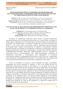 Фитоэкологические исследования для биологической рекультивации почв, загрязненных нефтью и нефтепродуктами на Апшеронском полуострове (Азербайджан)