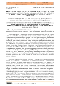 Bioecological peculiarities and economical significance of Scolytus intricatus (Ratzeburg, 1837) and Trypodendron lineatum (A. G. Olivier, 1800) damaging to forest trees in the south slopes of the Greater Caucasus (Azerbaijan)