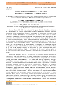 Cilioplankton communities as an indicator of the pollution degree in the Caspian Sea