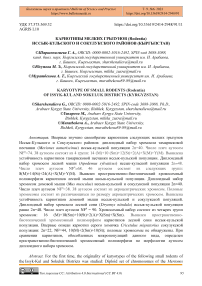 Кариотипы мелких грызунов (Rodentia) Иссык-Кульского и Сокулукского районов (Кыргызстан)