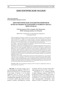 Цитометрические параметры нейронов коры больших полушарий головного мозга при COVID-19
