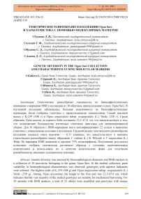 Генетическое разнообразие в коллекции Vigna savi и характеристика с помощью молекулярных маркеров