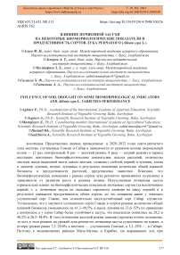 Влияние почвенной засухи на некоторые биоморфологические показатели и продуктивность сортов лука репчатого (Allium cepa L.)