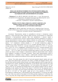 Показатели продуктивности сортов и форм миндаля, выращиваемых в Бабекском и Кангарлинском районах Нахчыванской Автономной Республики