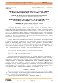 Биоморфологическая характеристика столовой свеклы в зависимости от схем посева в условиях Абшерона