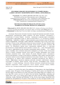 Пчелиные опылители кормовых растений Гянджа-Дашкесанского экономического района Азербайджана