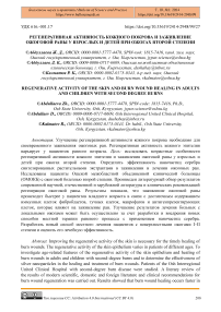 Регенеративная активность кожного покрова и заживление ожоговой раны у взрослых и детей при ожогах второй степени