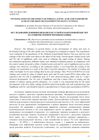 Investigation of the effect of indolyl acetic acid and naphthenic acid on the root development of olive cuttings