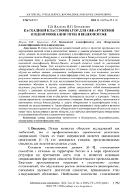 Каскадный классификатор для обнаружения и идентификации птиц в видеопотоке