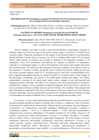 Distribution of Meloidogyne incognita species in potato plant (Solanum tuberosum L.) in Gazakh-Tovuz economic region