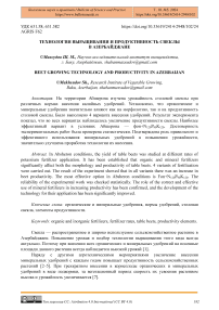 Технология выращивания и продуктивность свеклы в Азербайджане