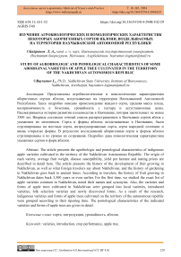 Изучение агробиологических и помологических характеристик некоторых аборигенных сортов яблони, возделываемых на территории Нахчыванской Автономной Республики