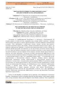 Мясная продуктивность овец породы балбас юго-восточной части Азербайджана