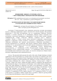 Проявление эффекта гетерозиса роста у внутривидовых гибридов мягкой пшеницы