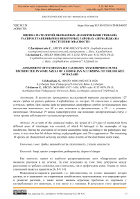 Оценка патологий, вызванных анаморфными грибами, распространенными в некоторых районах Азербайджана по степени опасности