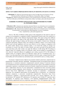 Effect of various preparations for plant rooting on olive cuttings